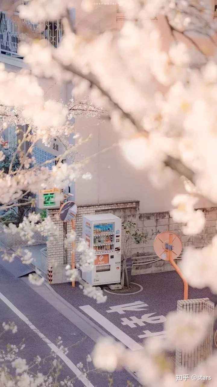 少女心壁纸