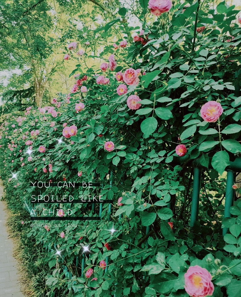 花花