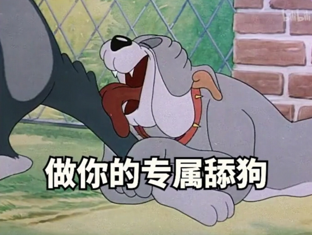 〔抖音超火猫和老鼠表情包〕点赞拿图