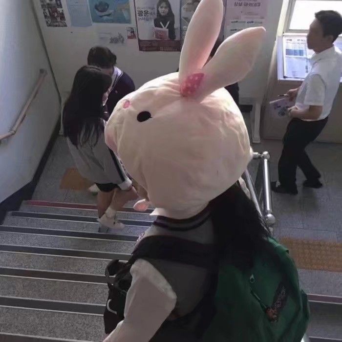 优质头像