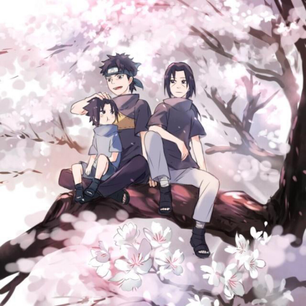 宇智波鼬(画师twi:homilmi) - 堆糖,美图壁纸兴趣社区