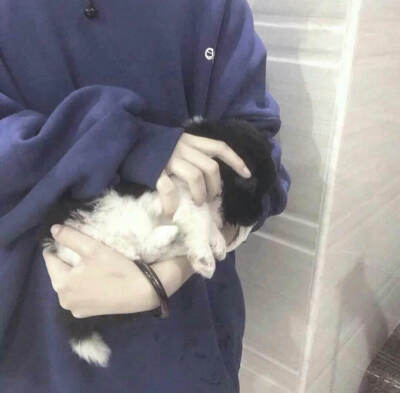 头像.