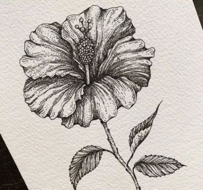 四方连续花卉黑白