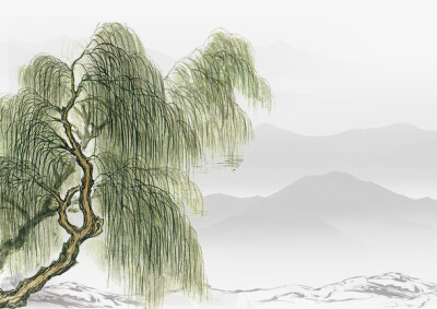 中国风水墨画柳树植物