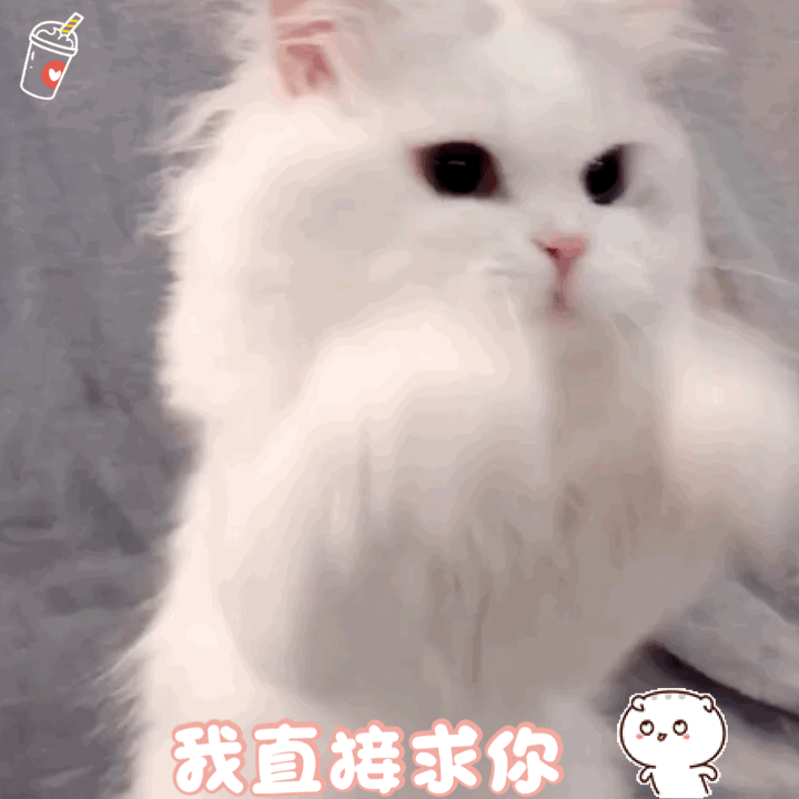  蕊蕊>猫咪表情包