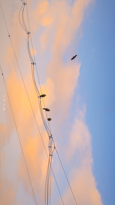 治愈系 小清新 夏天 电线杆 黄昏 手机壁纸 全面屏壁纸图源 微博 买