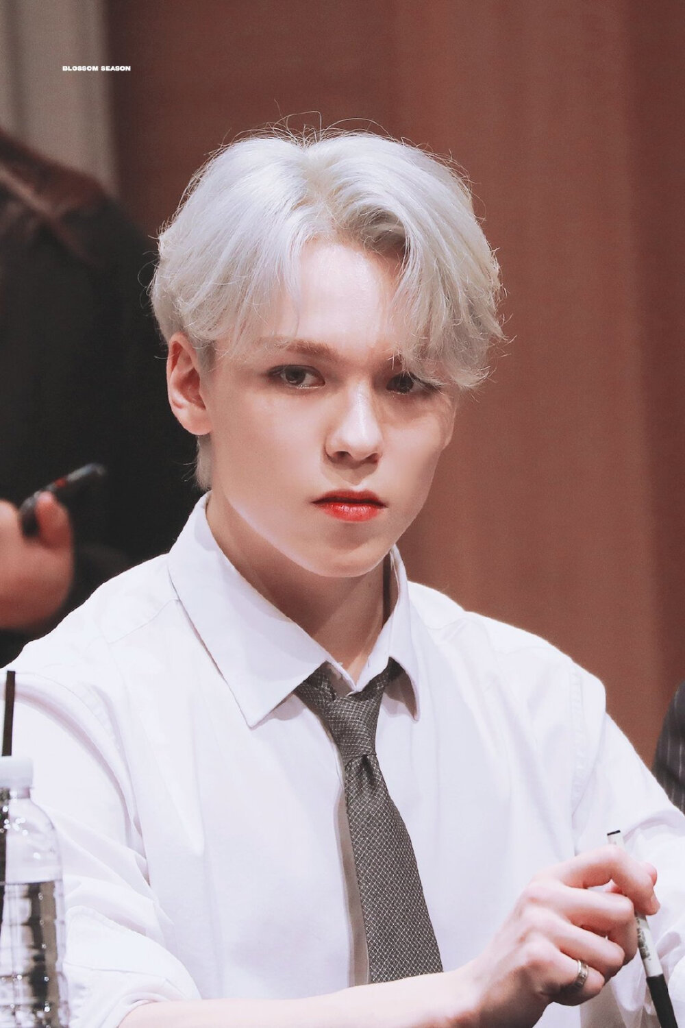 seventeen 崔瀚率 vernon 啵哝