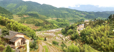 位于江西省吉安市遂川县左安镇的桃源梯田风景如画,吸引了许多游客前