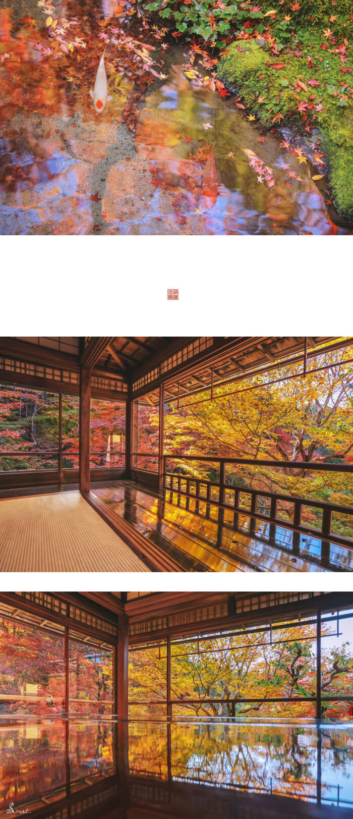 京都红叶季旅拍琉璃光院 枫的色彩by 刘顺儿妞 堆糖 美图壁纸兴趣社区