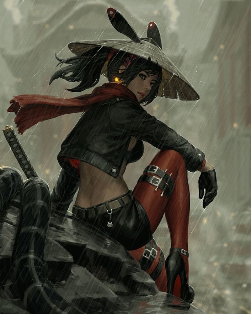 神韵迷人的侠客 , 人物插画艺术家 , guweiz