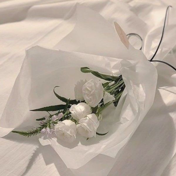 【朋友圈背景】白色系列 白玫瑰 精装