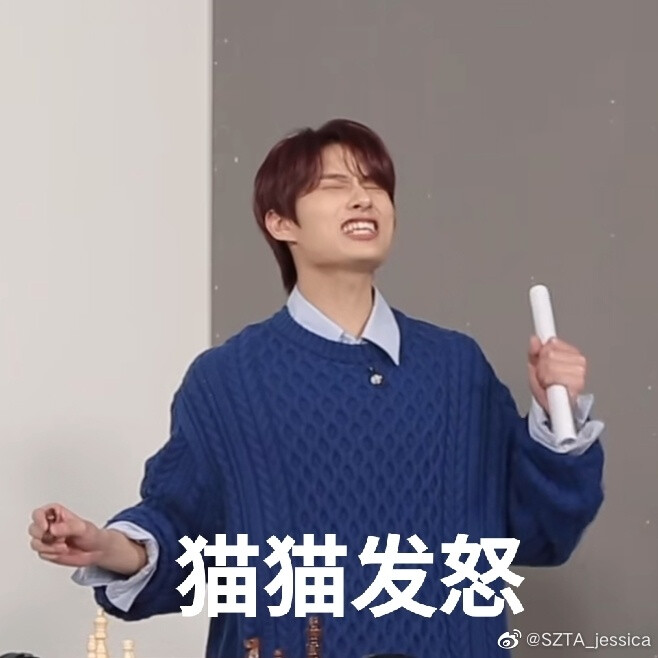 seventeen表情包