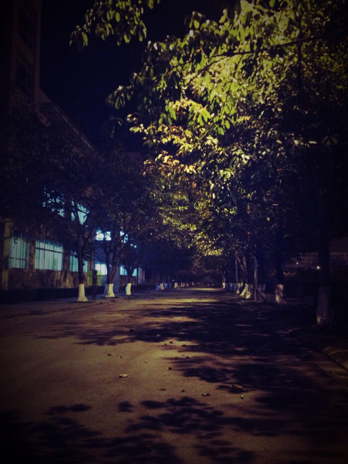 一个人的夜晚,一个人的寂寞在这繁华的城市,身边却一无所有