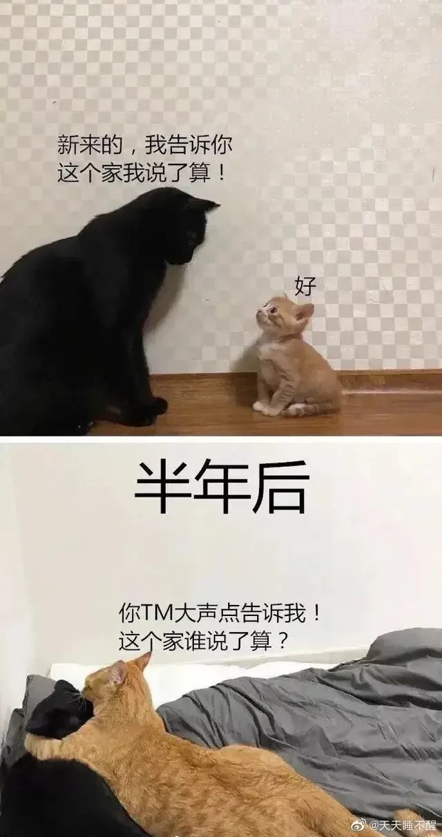 每当人想忘记一些事情的时候