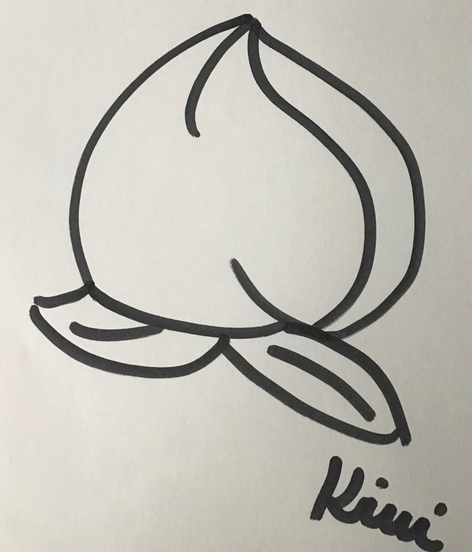 卡通水果简笔画