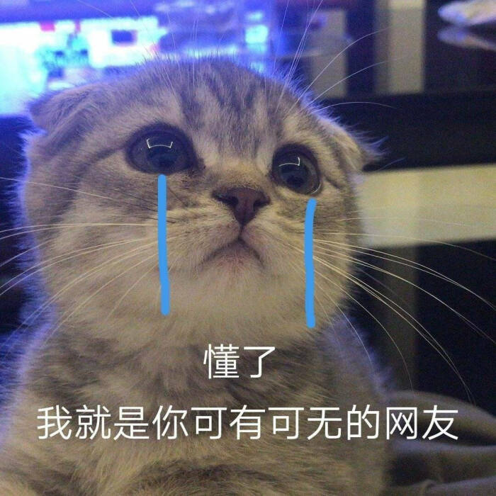 表情包猫猫可爱委屈