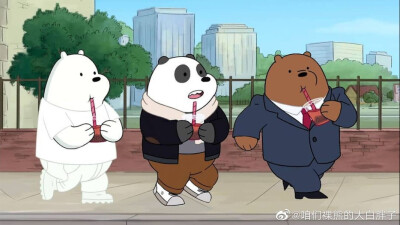 咱们裸熊 ice bear