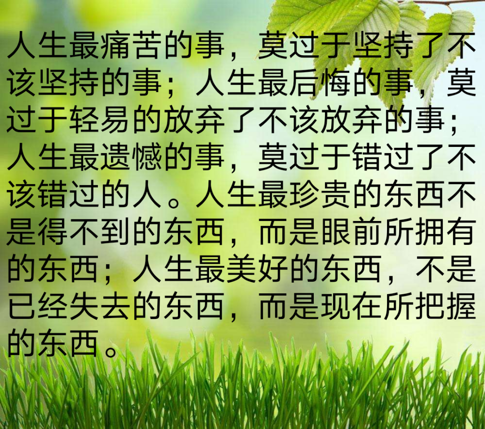 人生最痛苦的事,莫过于坚持了不该坚持的事;人生最后悔的事,莫过于