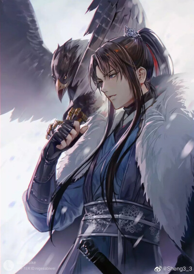 二哈和他的白猫师尊梅含雪