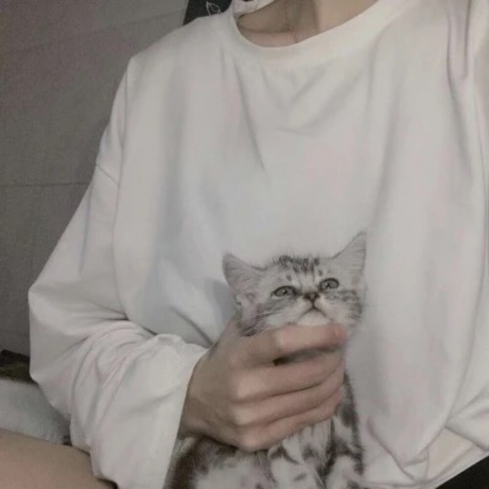 基头 真人