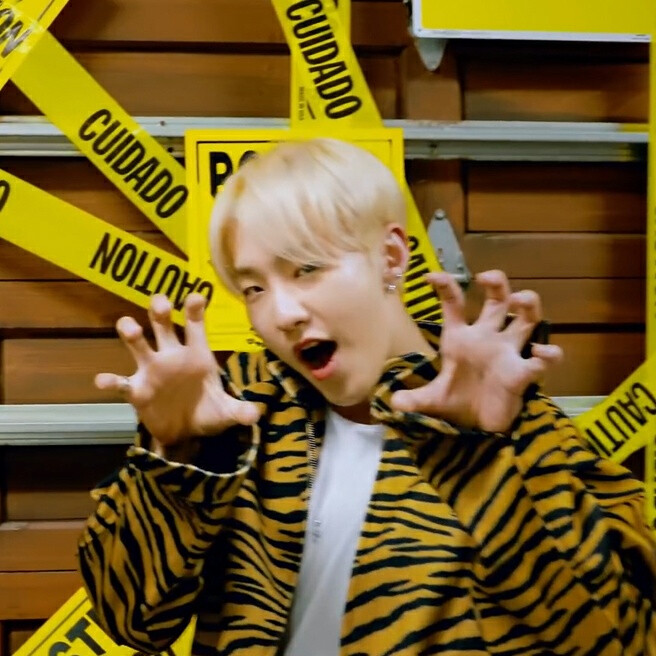 seventeen 头像 权顺荣