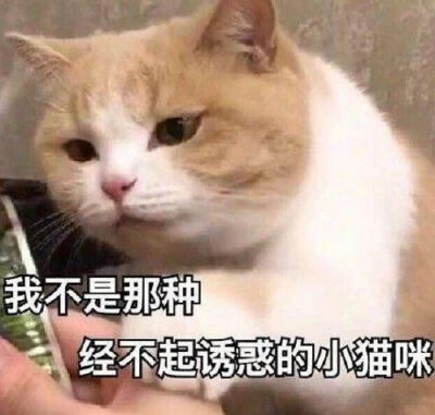 不要恋爱表情包