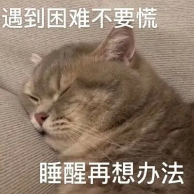 就想粘着你