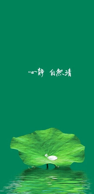 文字/古风/绿色壁纸/小清新/荷叶/露/手写