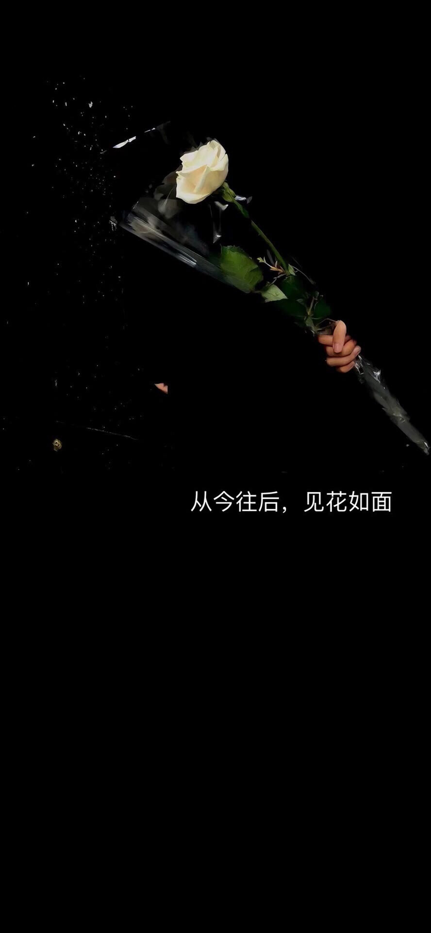 黑色背景壁纸锁屏手机壳图片