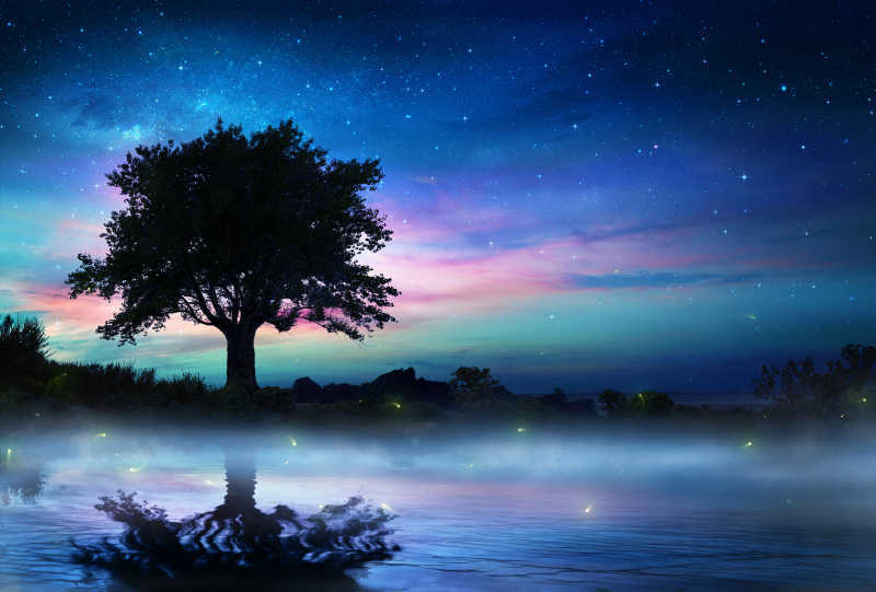 html 夜空下孤立的树高清摄影图片,夜空通常是用来形容在夜晚看见的