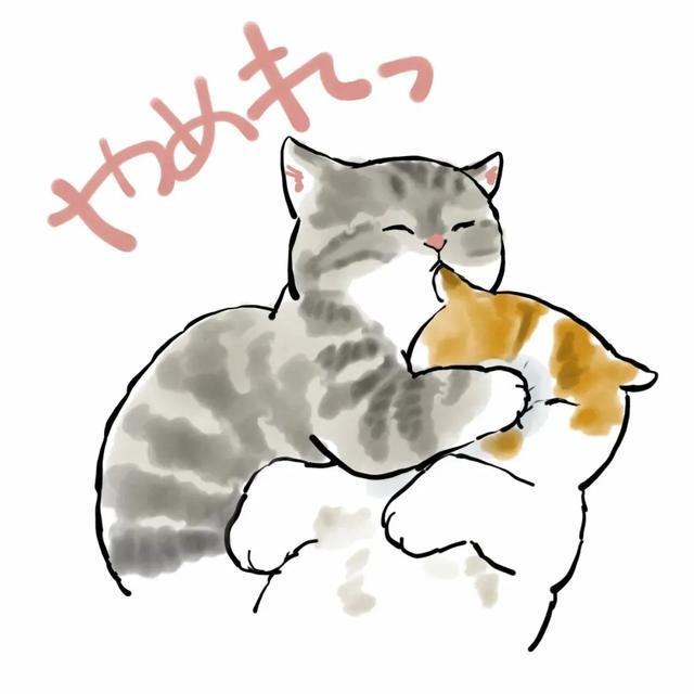 猫咪头像‖很抱歉呼啦圈没能让我这只猫变瘦 ins:mofu_sand