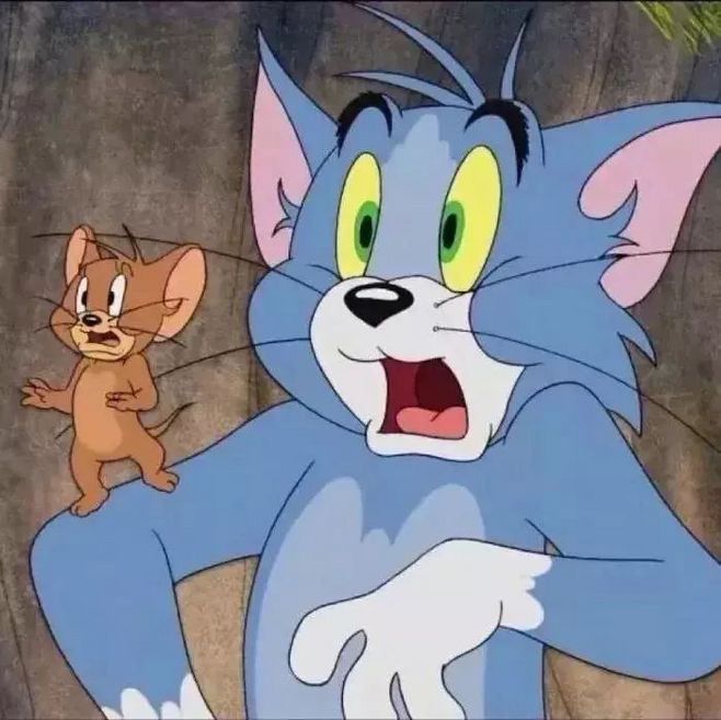 猫和老鼠汤姆and杰瑞tomandjerry壁纸头像