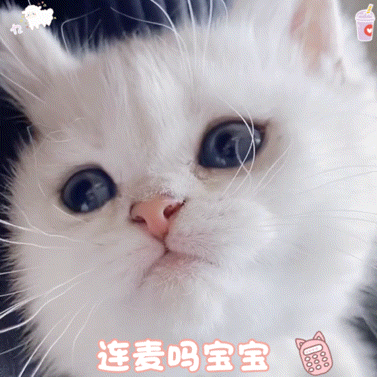 发布到猫咪表情包珣1317猫猫 可爱 表情包 六一快乐小朋友们!