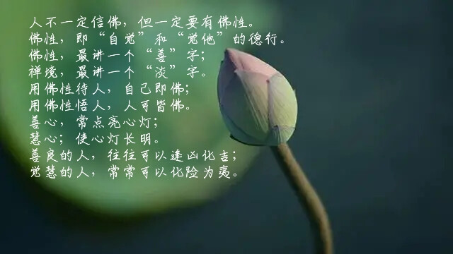 人不一定信佛,但一定要有佛性.佛性,即"自觉"和"觉他"的德行.