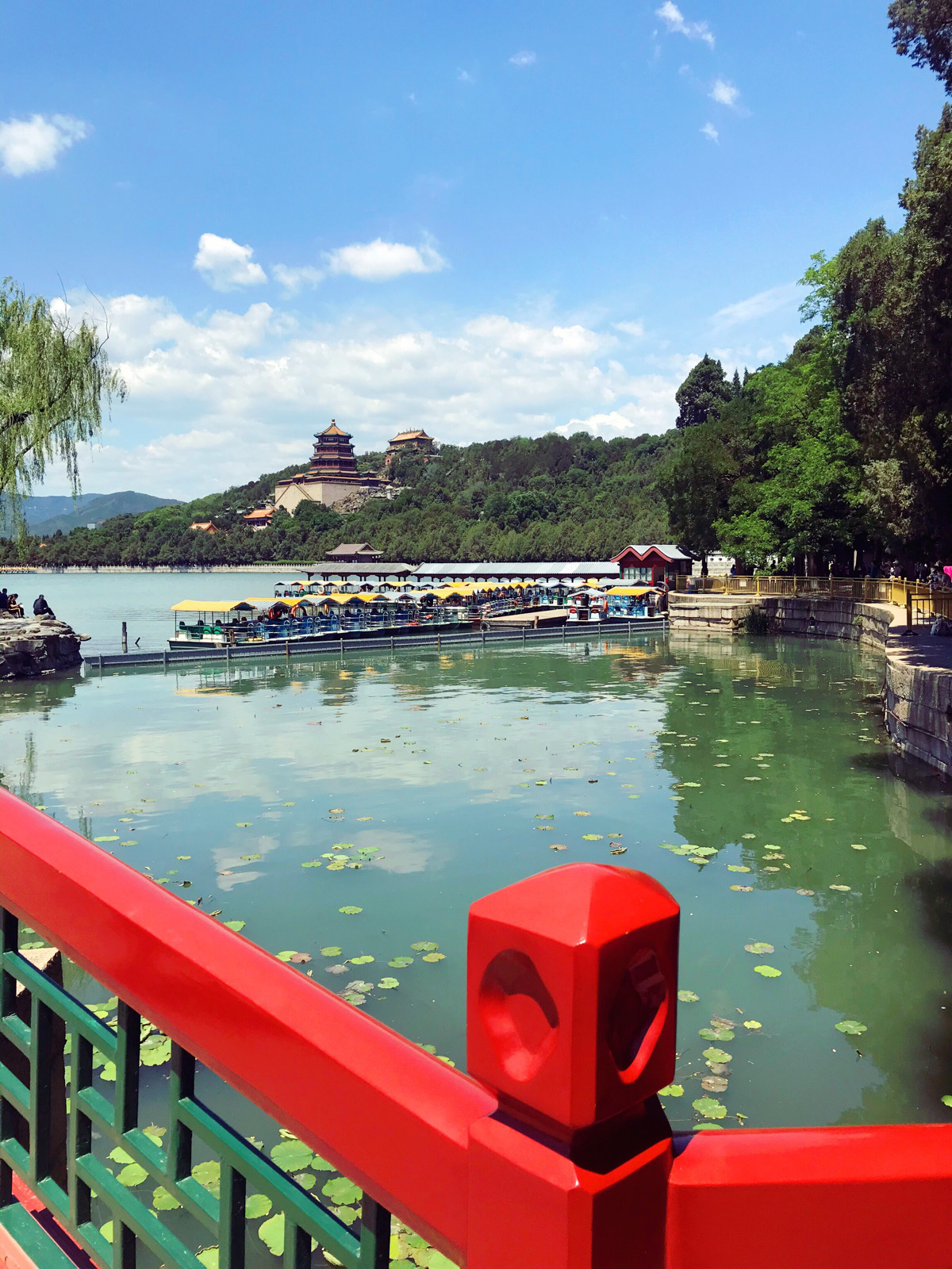 夏天的颐和园 风轻云淡 昆明湖是真的大啊!