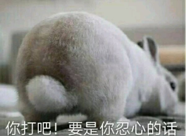 表情包——互相伤害