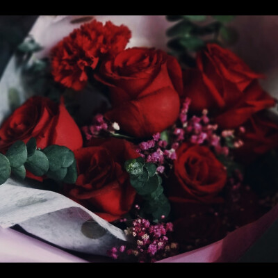 眠眠自拍照自调色 ins风 朋友圈背景 红色玫瑰花