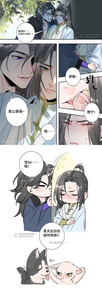 二哈和他的白猫师尊 墨燃楚晚宁 条漫侵删