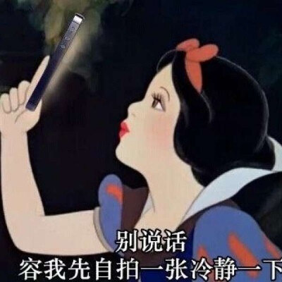 迪士尼鄙视表情包