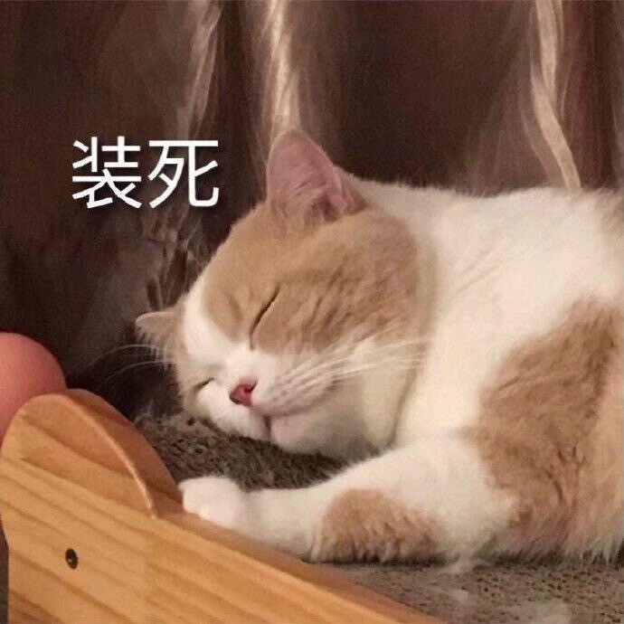 表情包礼貌拿