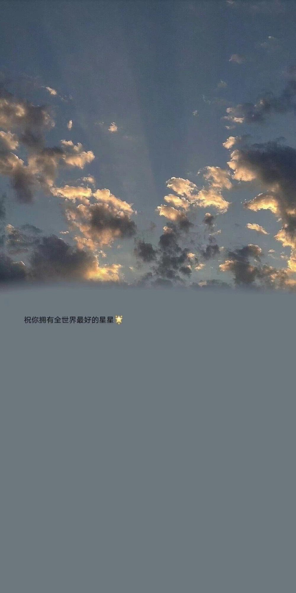 壁纸我们都会上岸阳光万里路边鲜花开放