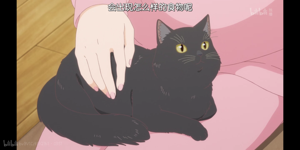 他和她的猫