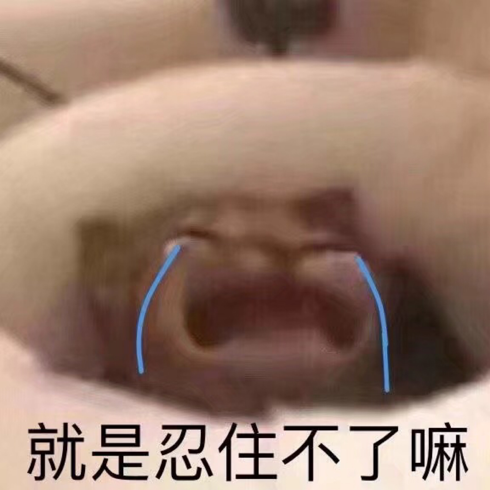 表情包就是忍不住了嘛