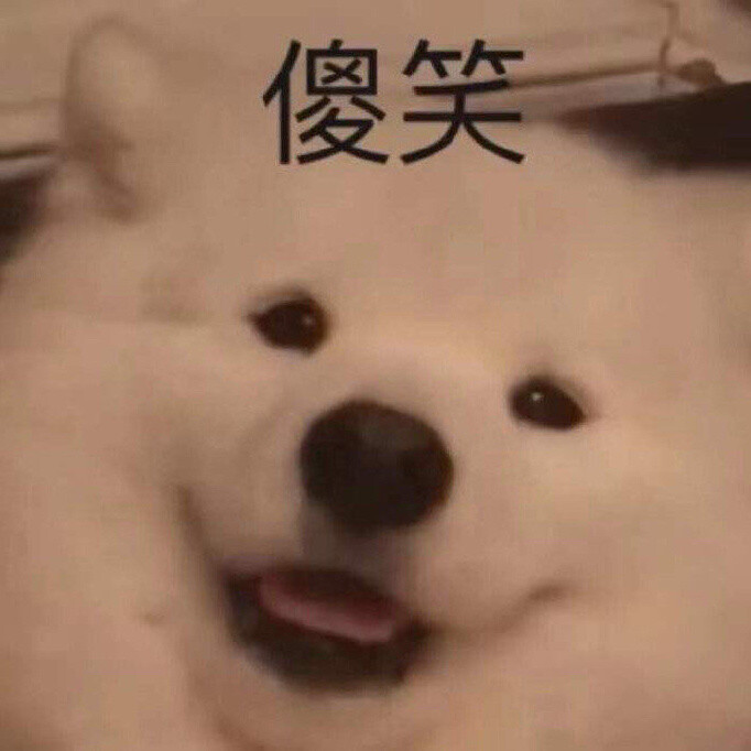 表情包 搞笑 - 堆糖,美图壁纸兴趣社区