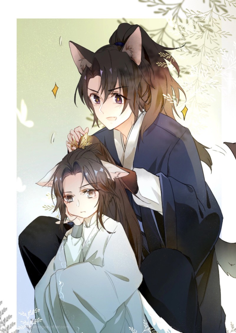 二哈和他的白猫师尊