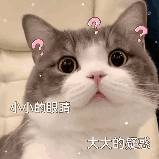 不要在过去找答案