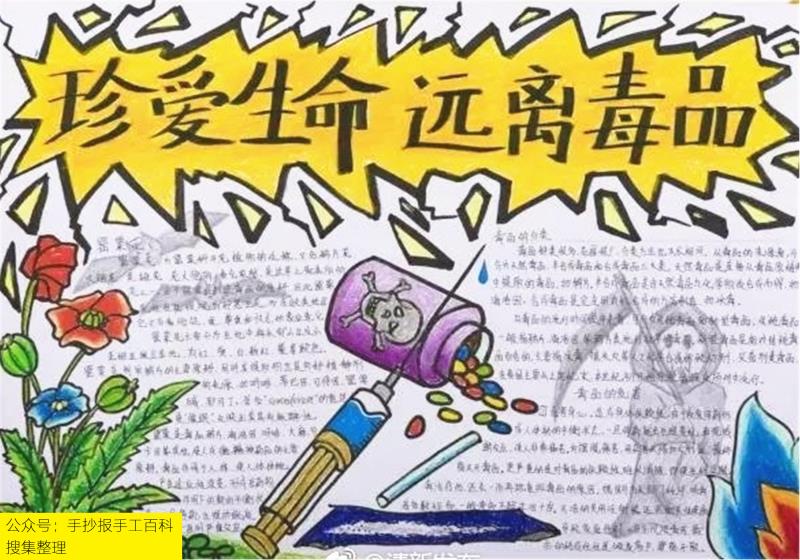 禁毒手抄报,禁毒小报,公众号,手抄报手工百科,搜集整理