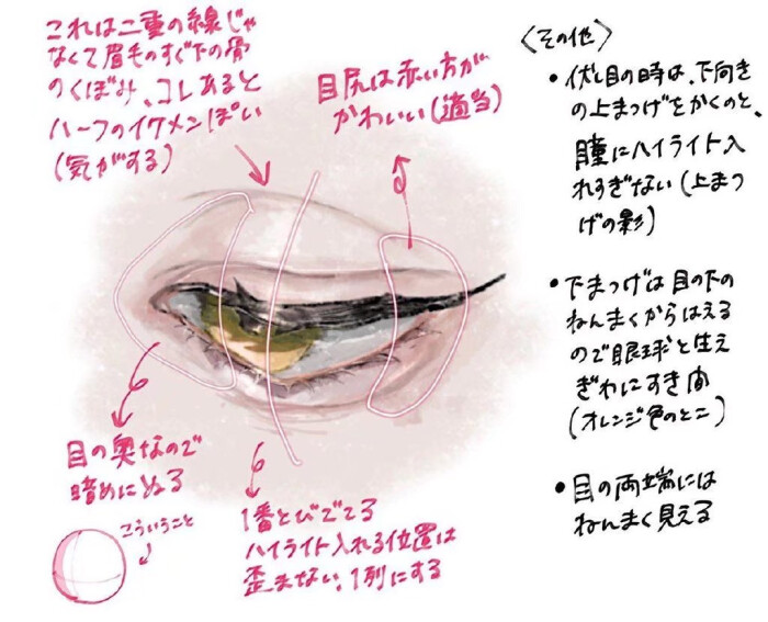 不同角度的眼睛 堆糖 美图壁纸兴趣社区