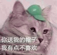 猫咪表情包你送我的帽子我有点不喜欢