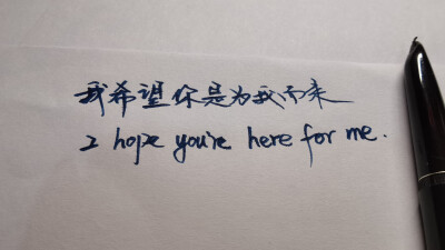 情感语录~手写
